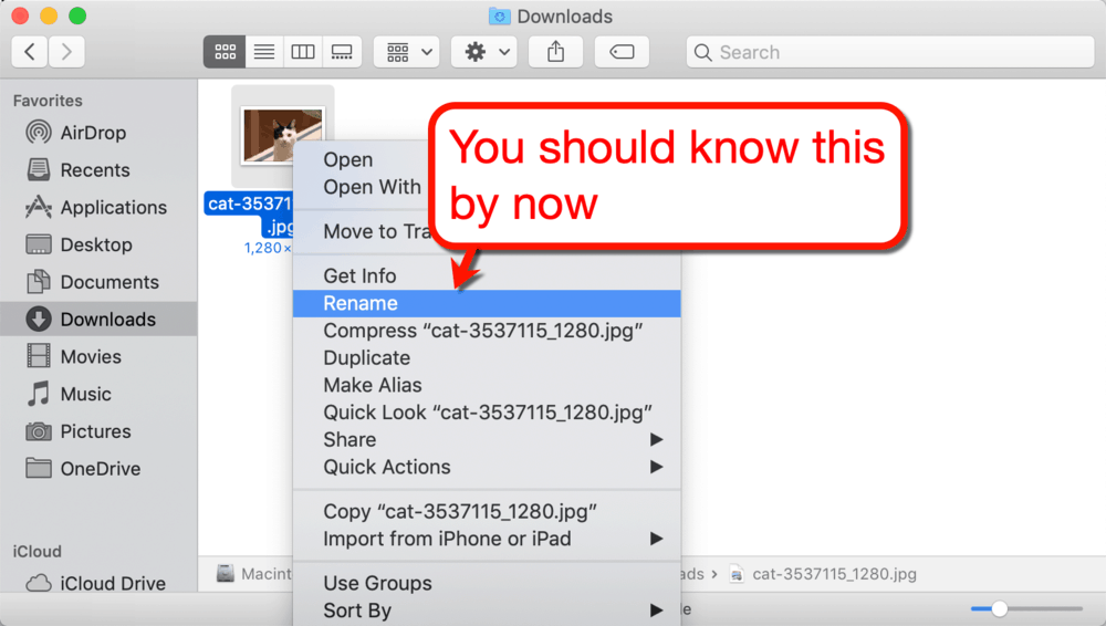 在Mac中重命名图像